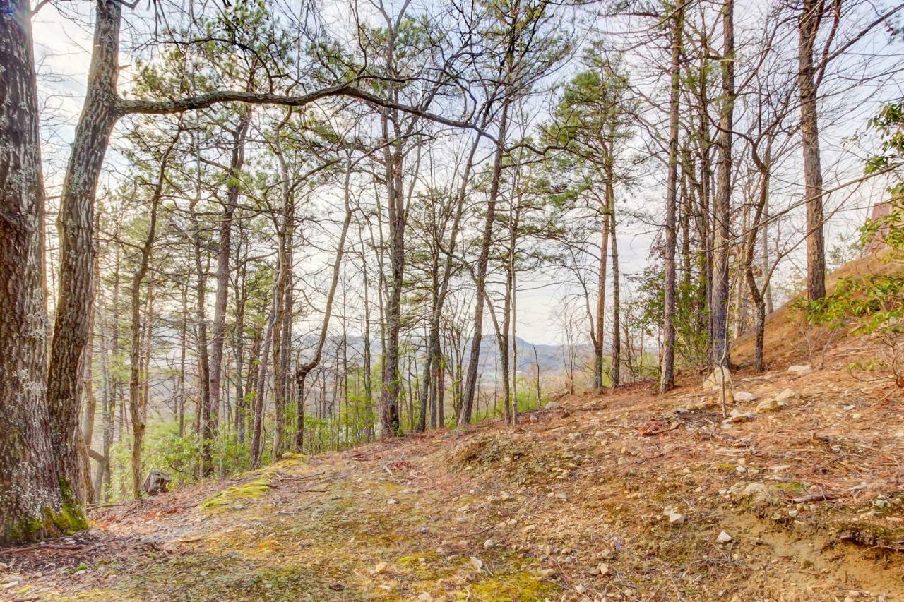 Misty View Cabin Hatchertown Dış mekan fotoğraf