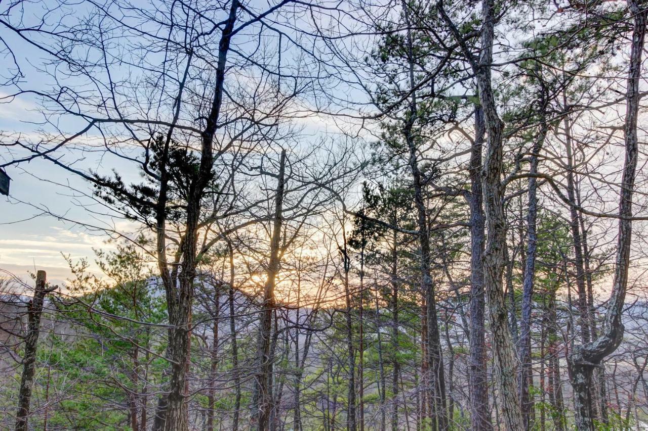 Misty View Cabin Hatchertown Dış mekan fotoğraf