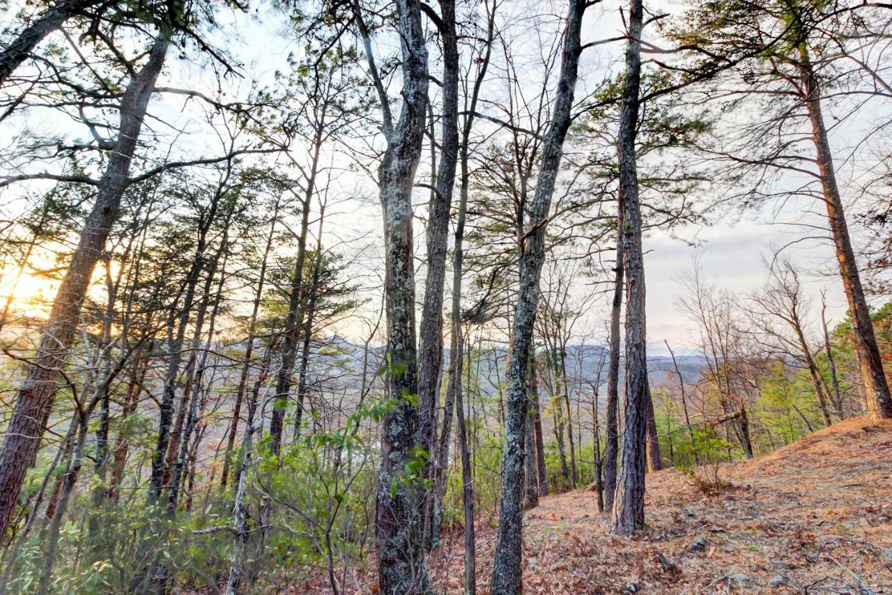 Misty View Cabin Hatchertown Dış mekan fotoğraf